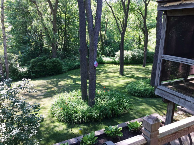 8379 Beacon- Backyard 2