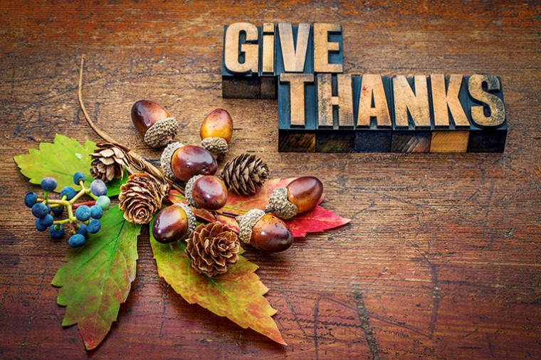 give thanks - Thanksgiving concept - text in letterpress wood type printing blocks with cone, acorn, leaf and berries fall decoration