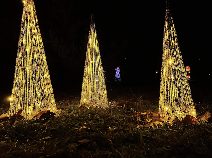 Santa Lights Trail at Hamlett Lavender Farm | Pinckney, MI
