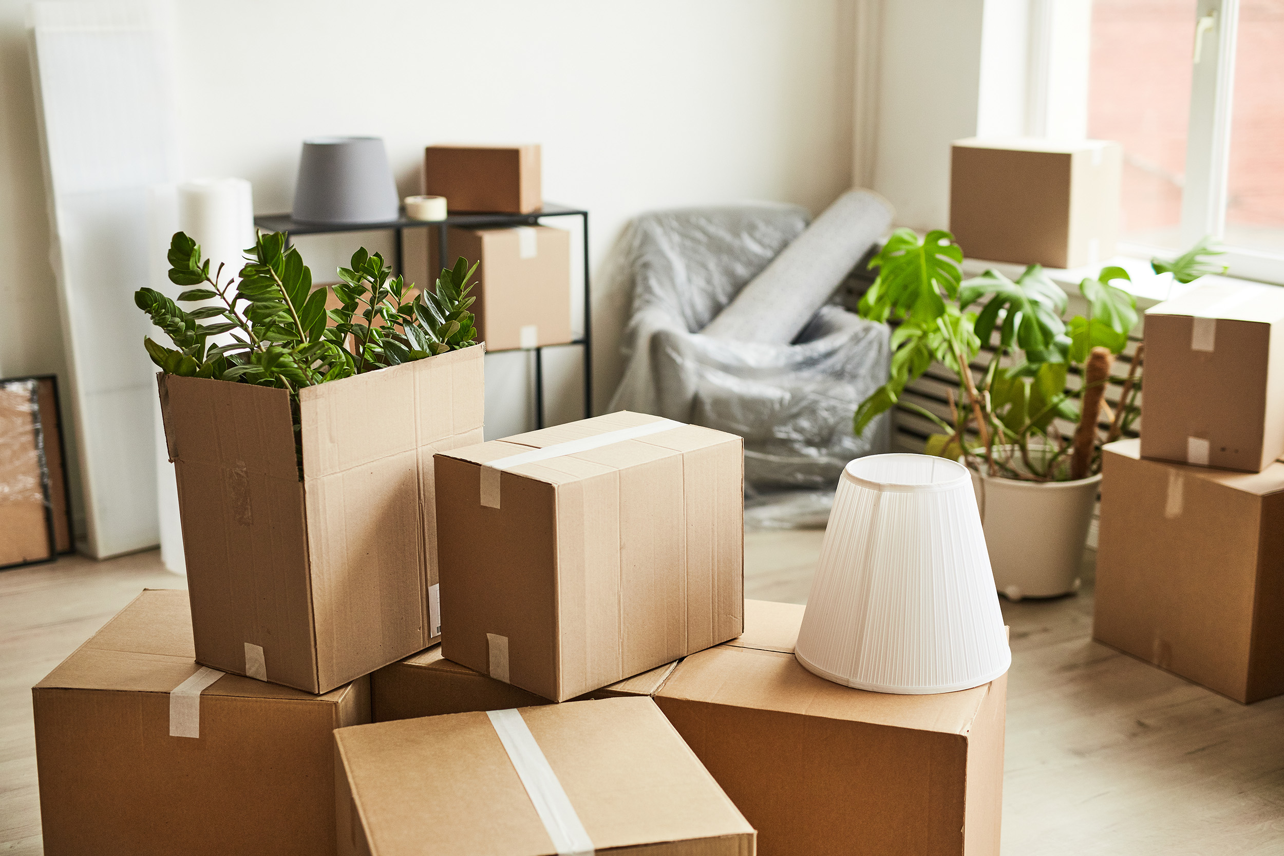 6 Tips for Downsizing Your Ann Arbor Home